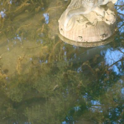 Poissons