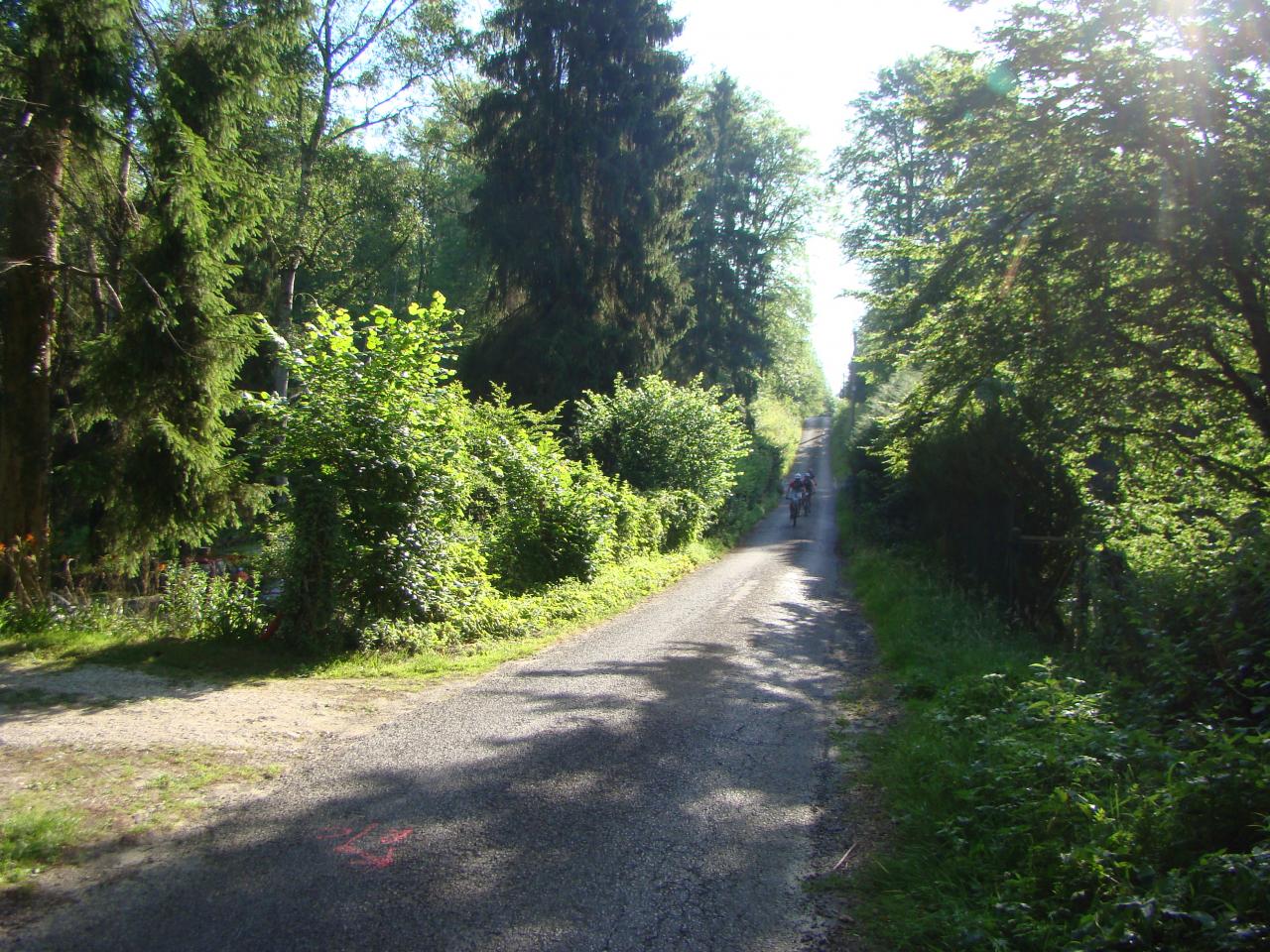 DSC00089