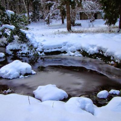 Hiver