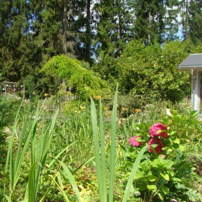 Le jardin