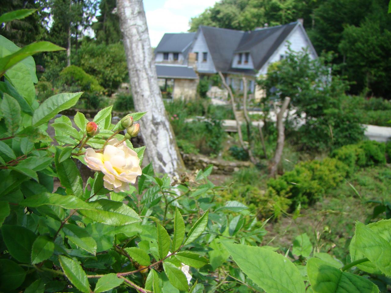 DSC04761