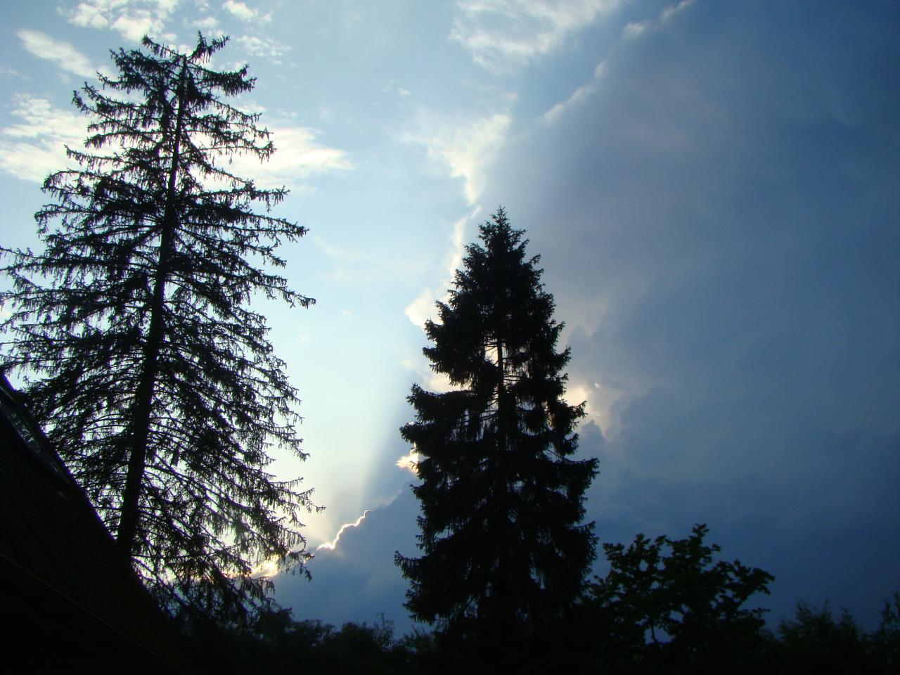 DSC08093