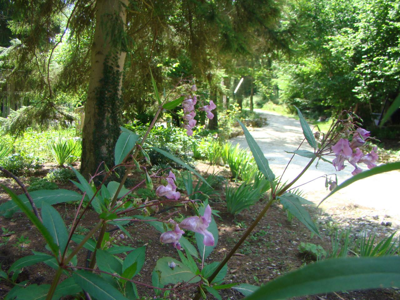 sortie du jardin de saint jean